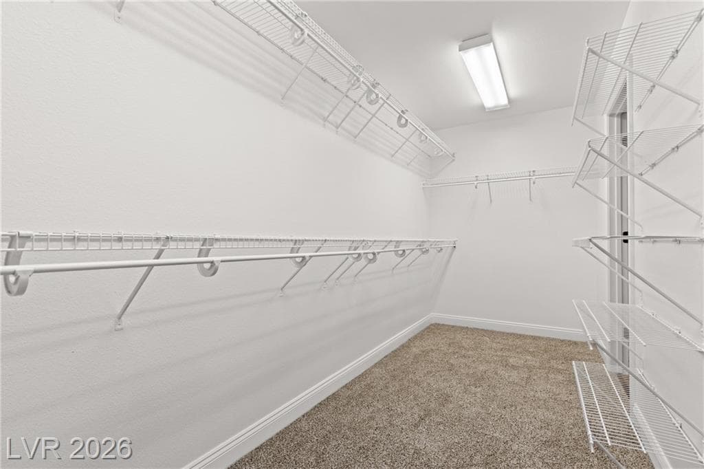 10831 Tawny Buck Court MLS photo 29